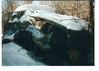 Име : 22_resize.jpg
Големина : 177KB
Размери : 957x685
Дата на добавяне : март 12 2013 22_resize.jpg
