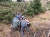 Име : Vitosha (5).JPG
Големина : 888KB
Размери : 1306x979
Дата на добавяне : септември 07 2010 Vitosha (5).JPG